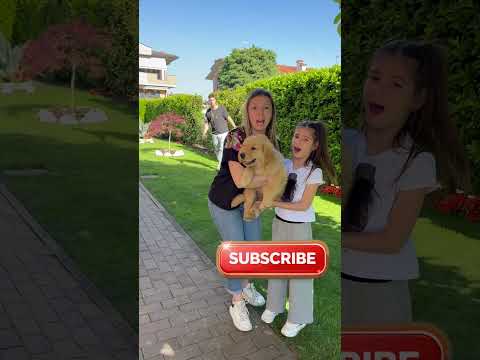 Boris il cucciolo di cane distrugge il giardino di Papà Mike con Aurora #shorts