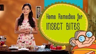 How To Get Rid of Insect & Mosquito Bites -Reduce The Itching Of Insect Bites, Bug Bites & Swelling