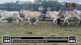 Vídeo LOTE 159