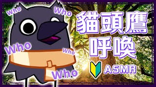 [Vtub] 伊索渡 ASMR 夜裡溫柔呼喚你的貓頭鷹