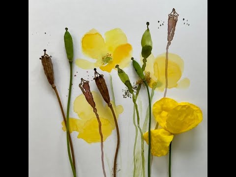 Poppy Seed heads for beginners.