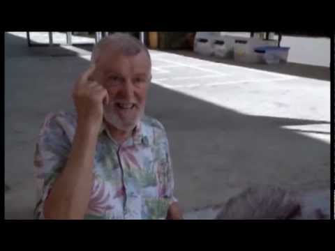 IMAGE PROBLEM Grenchen Szene