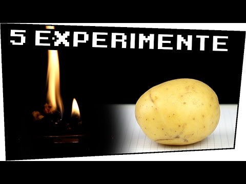 5 EXPERIMENTE mit LEBENSMITTELN! - Heimexperimente #65