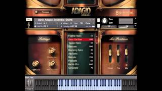 Video thumbnail for Adagio Short Note Overview - Solo, Divisi and Ensemble Violin by 8Dio