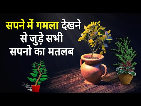 Sapne me Gamla dekhna | Seeing  Flowerpot in dream | Gamle ka sapna dekhna kaisa hota hai