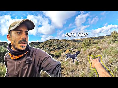 La CAZA SALVAJE 𝗽𝗼𝗻𝗲 𝗮 𝗰𝗮𝗱𝗮 𝘂𝗻𝗼 𝗲𝗻 𝘀𝘂 𝗹𝘂𝗴𝗮𝗿🤯