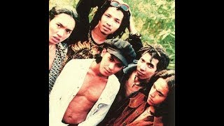 Protonema   Ternyata