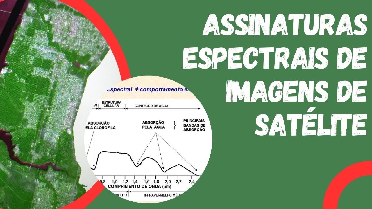 Assinaturas espectrais de alvos em imagens de sensoriamento remoto geradas no QGIS
