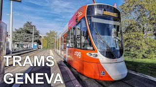 🇨🇭 Trams in Geneva - Tramway de Genève (2022) (4K)