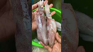 Download lagu How to clean squid correctly and quickly ✨ mp3