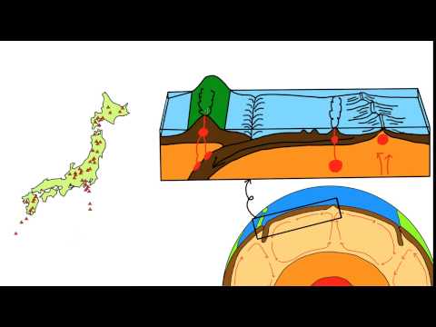 link=F1のリフィフィ