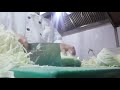 Skilful Fruits And Vegetables Cutting Compilation