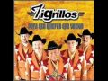 Los Tigrillos & Dinora SERA POR QUE TE AMO ...