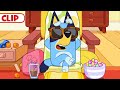 Bluey Season 3 Episode 21 Tina Episode Clip Disneyjr BlueyOfficialChannel​