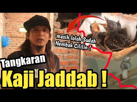 RECKLESS ‼️ Spend Hundreds of Millions to Print Champion Murai