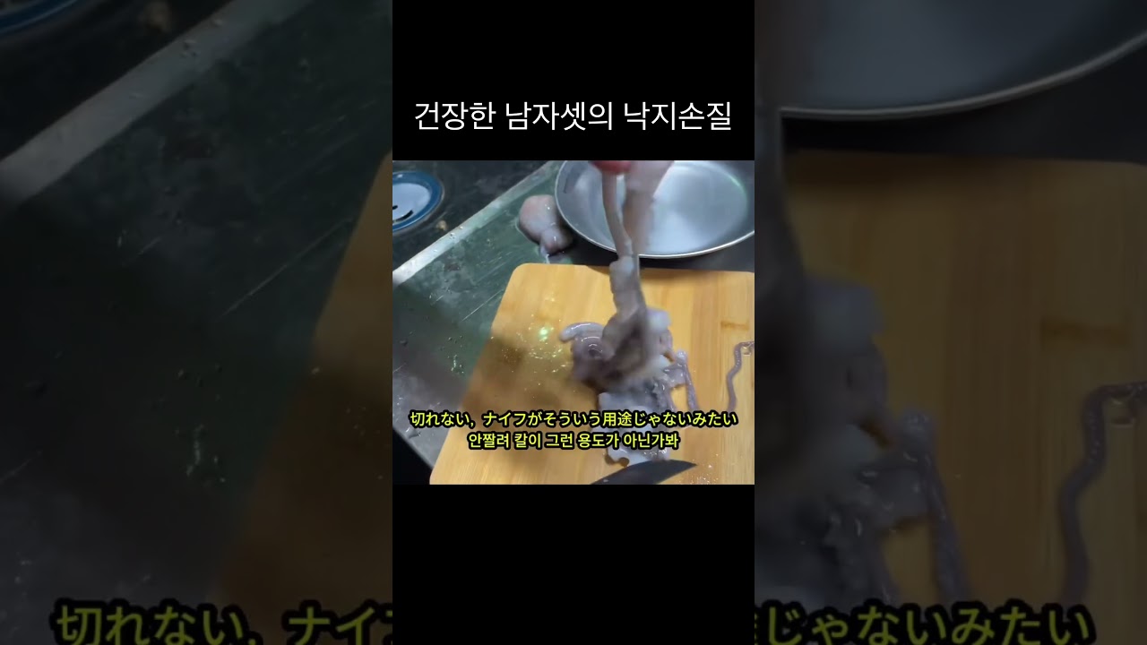 쉽지않네... #낙지 #낙지탕탕이