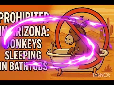 Why It’s Illegal for Donkeys to Sleep in Bathtubs in Arizona | Crazy U.S. Laws Explained