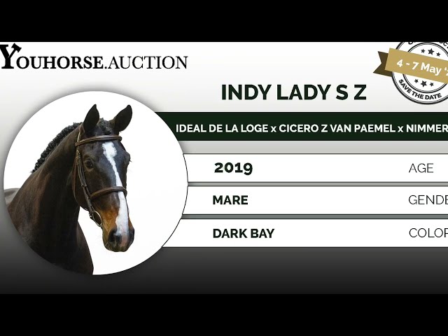 Indy Lady showvideo outdoor