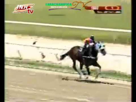 LA RINCONADA DOMINGO 26 DE OCTUBRE DEL 2014