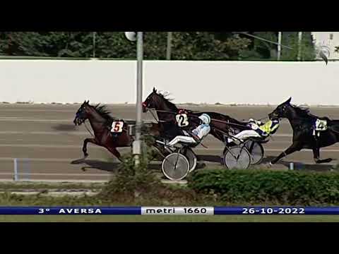 Aversa trotto 26 Ottobre 2022 - 3° Corsa