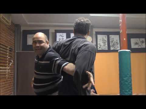 Ogawa Ryu - 骨法術 KOPPŌJUTSU Privat Class with Shidoshi Jordan Augusto - 2015