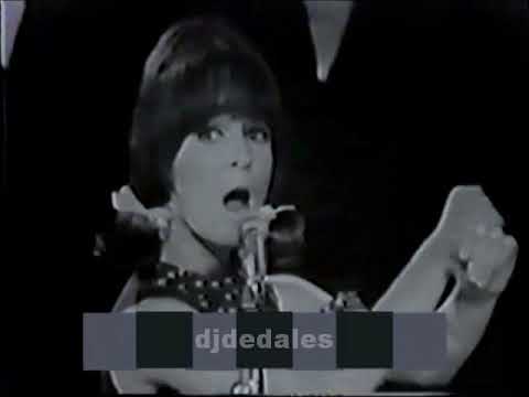 Les Miladys - Donne-moi ton amour - 1966