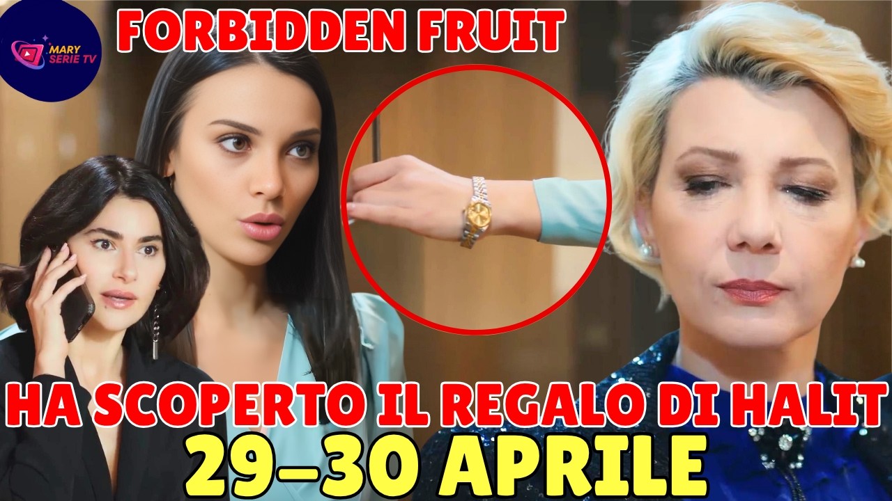 SHOCK Forbidden Fruit: Il regalo di Halit rovina Leyla! Zerrin vede tutto e avvisa Ender