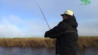 Воблер jackson dead float 80f