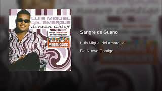 Voy a dejar de amarte