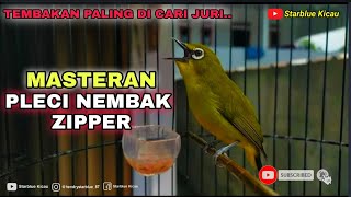Download lagu MASTERAN PLECI NEMBAK ZIPPER SAMBUNG KENARI PANJANG || MASTERAN PALING AMPUH mp3