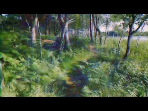web kerne Vælg LSD/Acid Visual Simulation in a Walk Through Nature | The Daily Psychedelic  Video