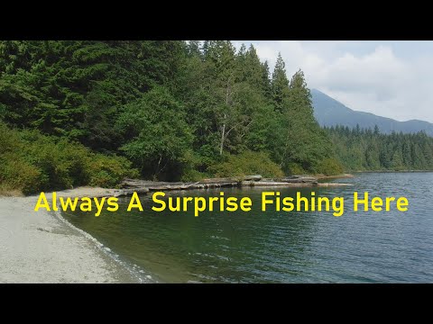 Always A Surprise Fishing Here