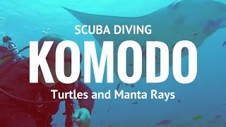 Scuba Diving in Komodo with Sea Turles and Manta Rays