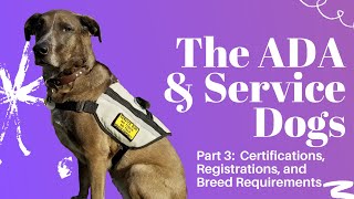 Service Dog Certifications, Registrations, and Breed Requirements | Answering ADA Questions Part 3