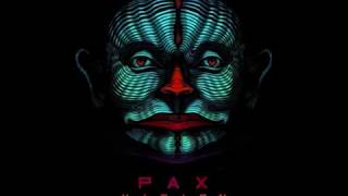 PAX - Visions