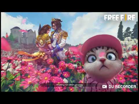 Ja dhe video e par doli