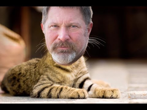 MASSENOMICS PODCAST EPISODE 78 - IF MARK RIPPETOE WAS A DOG, HE WOULD BE A CAT