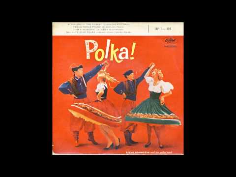 STEVE ADAMCZYK - TASKOTLINA POLKA
