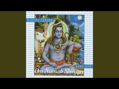 Om Namah Shivayah 4