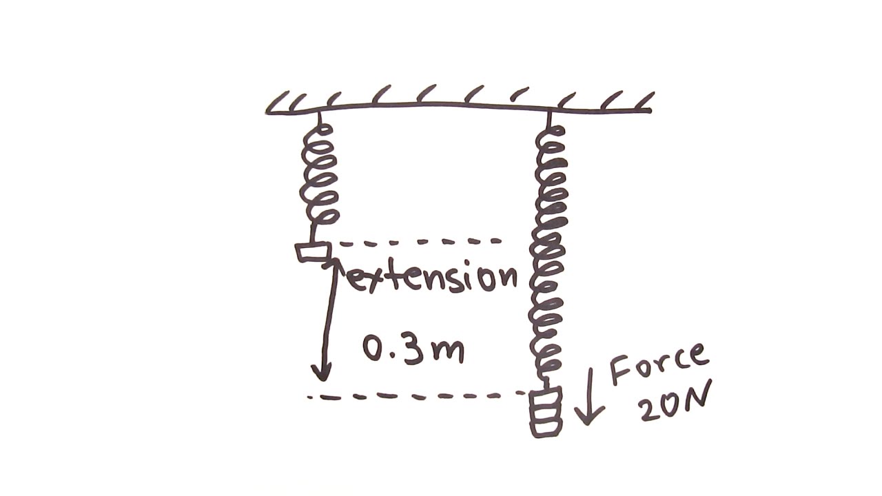Hooke's Law | GCSE Physics | Doodle Science