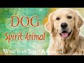 Dog Spirit Animal | Dog Totem & Power Animal Dog Symbolism & Meanings