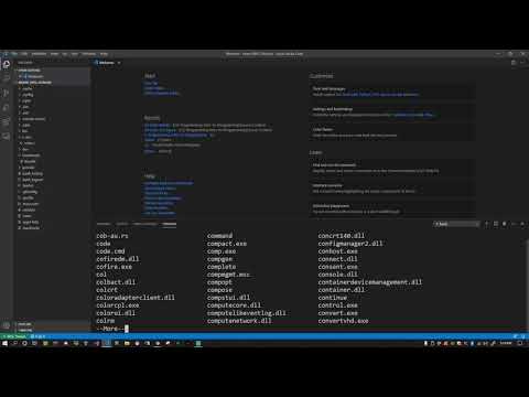 C Programming - 2.3 Debugging with GDB