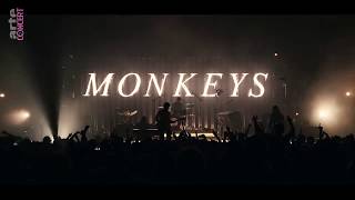 Arctic Monkeys Knee Socks // Les Nuits de Fourvière