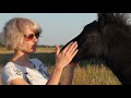 Video Of A Black Donkey Close Up View Ahmerkhan3652 Channel