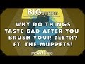 Why do things taste bad after you brush your teeth ...