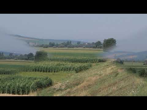 #Bălăușeri #Agrișteu jud. Mureș