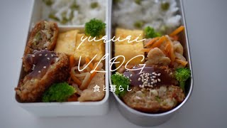 暮らしのvlog #57 夫婦ふたり平日5日間のお弁当｜作り置きレシピ｜春キャベツメンチ｜春野菜を使った煮物｜ゴールデンウィークのおでかけ