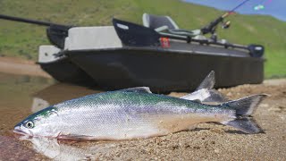 Trolling For BIG Kokanee! Pond Prowler/Bass Raider/Sun Dolphin