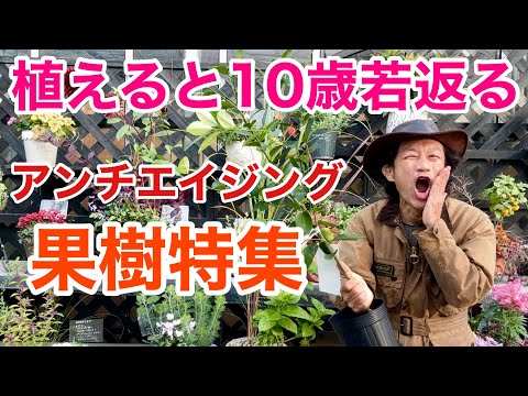 園芸 あらゆる好みに対応する賢者