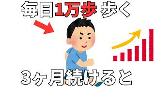 【健康の雑学】1日1万歩歩くことで体に起こる驚きの変化